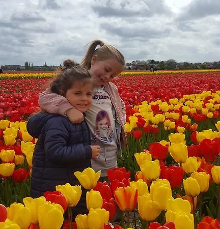 בית הארחה Corper זנדוורט