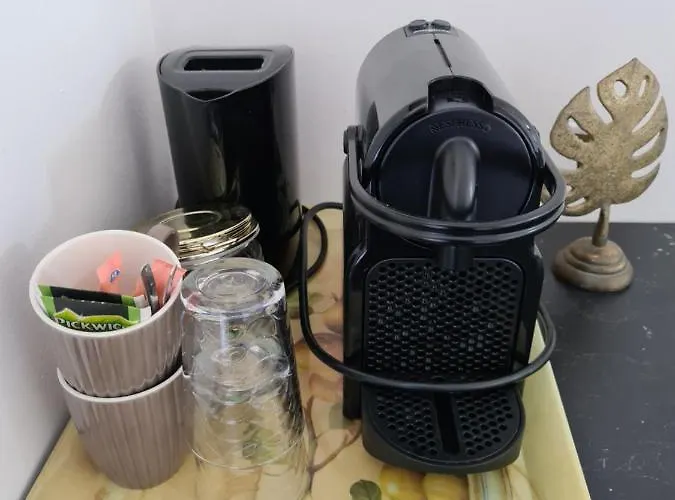 Corper 잔드보르트