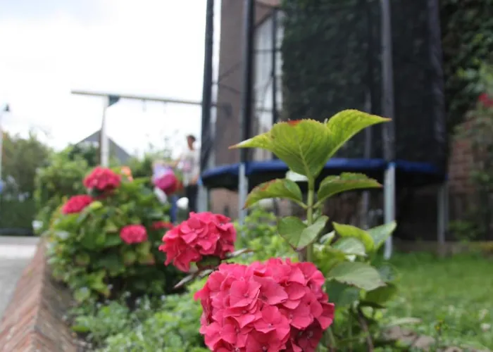 Πανσιόν Corper Zandvoort