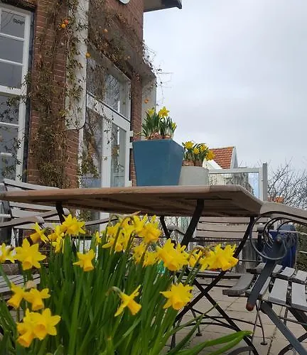 Corper Πανσιόν 3*