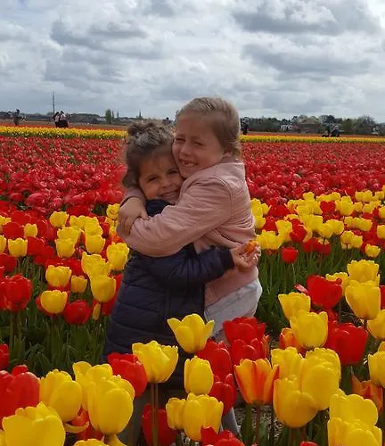 Corper Πανσιόν 3*