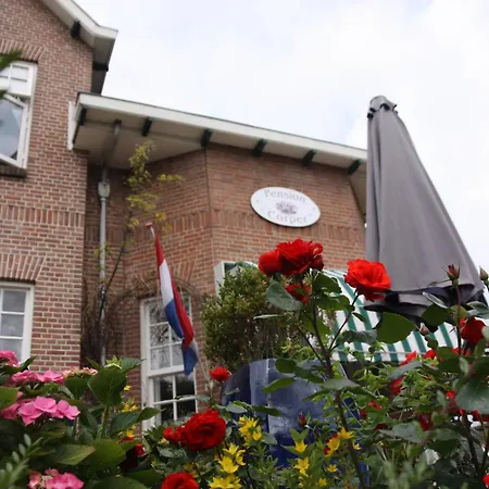 Casa de hóspedes Corper