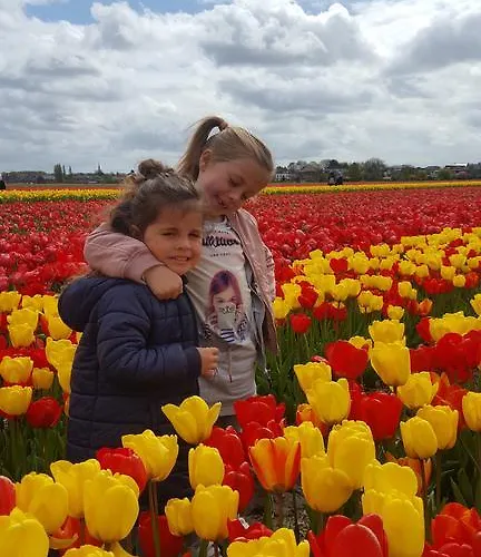 Penzion Corper Zandvoort